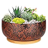 G EPGardening Vaso per piante grasse in terracotta, 20 cm, con foro di drenaggio, rotondo, per bonsai, con piattino in ...