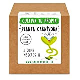 Garden Pocket - Fai Crescere la Tua PIANTA Carnivore Venus DIONAENA - Kit di germinazione