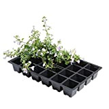 Garland Professional Seed Tray Inserts Pack 5 24 Cell - W0014