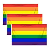 Gay Pride Flag, 3 Pack Rainbow Flags Gay Lesbian Peace Flag per le celebrazioni del Gay Pride