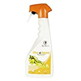 GebEarth - Olio di neem per piante Spray, 100% Naturale e pronto all’ uso, protezione da insetti, parassiti, funghi, acari, ...
