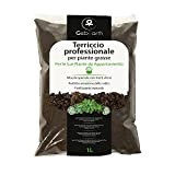 GebEarth - Terriccio Professionale per Piante Grasse e Succulente da 1 Litro【 Substrato ideale per Cactacee e altre Piante Grasse ...