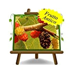 Gelsi Regina (Nero) - Pianta da frutto Antico su vaso da 20 - albero max 170 cm - 2 anni