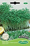 Germisem Alenois Semi di Crescione da Giardino 12 g