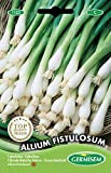 Germisem Allium Fistulosum Semi di Erba Cipollina 2 g