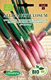 Germisem Biologico Allium Fistulosum Semi di Erba Cipollina Rosso 2 g