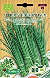 Germisem Biologico Allium Schoenopasum Semi di Erba Cipollina 2 g