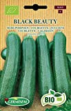Germisem Biologico Black Beauty Semi di Zucchine 3 g