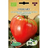 Germisem Biologico Oxheart Semi di Pomodoro 0.5 g