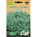 Germisem Biologico Thymus Vulgaris Semi di Timo 0.5 g