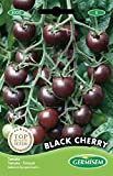 Germisem Black Cherry Pomodoro 20 Semi