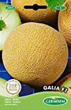 Germisem Galia F1 Semi di Melone 0.5 g