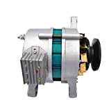 GHSYZY Generatore sincrono a magneti permanenti da 1000 W 1200 W 12 V Generatore a doppio scopo di ricarica CA ...