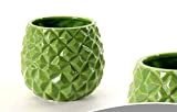 GICOS IMPORT EXPORT SRL Vaso Cachepot in Ceramica 15 * 15 * 14 cm Colore Verde arredo casa Giardino OXO-732614