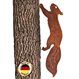 Glaskönig - Scoiattolo arrugginito – Spilla per albero in ruggine decorativa altezza 15 cm x lunghezza 42 cm – decorazione ...