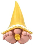 GlitZGlam Piccola Gigante Gnoma “Daisy” con Una magnifica Corona di Margherite sul Suo Cappello da gnoma. Una gnoma in Miniatura ...