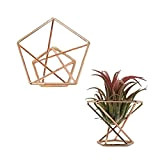 GoMDSA Porta piante ad aria geometrica in oro rosa, 6 confezioni di piante da aereo, supporto per piante in metallo, ...