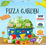 Grafix Grow & Paint Your Own Pizza Herbs Garrden Kids Creative Craft Set