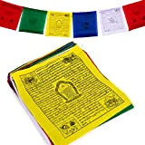 Grande bandiera tibetana di preghiera 25,4 x 30,5 cm tradizionale cotone stampato a mano, fatto a mano in Nepal Wind ...
