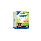 Green Ravenna - Radicante polvere PFnPE per talee legnose - 100 g