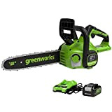 Greenworks GD24CS30K4 Motosega a Batteria con Motore Brushless, Lunghezza Barra 30cm, Velocità Catena 7,8m/s, Auto-Lubrificante, Anti Contraccolpi, Batteria 24V 4Ah ...