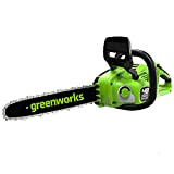 Greenworks GD24X2CS36 Motosega a Batteria con Motore Brushless, Lunghezza Barra 35cm, Velocità Catena 20m/s, 3,7kg, Auto-Lubrificante, SENZA 2 Batterie 24V ...
