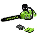 Greenworks GD24X2CS36K4X Motosega a Batteria con Motore Brushless, Lunghezza Barra 35cm, Velocità Catena 20m/s, Auto-Lubrificante, 2 Batterie 24V 4Ah e ...