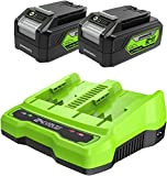 Greenworks Tools Due Batterie da 24 V 4 Ah G24B4 e Caricatore a Due Posti G24X2C, Li-Ion 24 V 4 ...