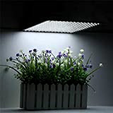Grow Light LED Growth Lamp for Plants LED Grow Light Full Spectrum Phyto Lamp Indoor Herbs Light for Greenhouse LED ...
