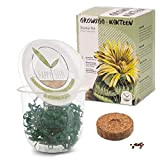 GROW2GO Cactus starter kit per la coltivazione - Set per la coltivazione di mini-serra, semi di cactus e terreno - ...