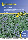 Gründünger-Saaten Phacelia, 1 kg Phacelia tanacetifolia