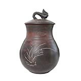 GYC Urna di cremazione in Ceramica urna Domestica, urne di cremazione per Adulti bio per Ceneri, Bare di bara di ...