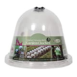 Haxnicks Bell050101 Campane per campane originali per riscaldamento del terreno del giardino e piante in crescita, trasparenti (confezione da 3)