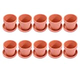 Hemoton 10 mini vasi da giardino in terracotta, vasi in ceramica, vasi per piante grasse, vasi da giardino, interni ed ...
