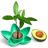 HENMI Avocado Semi di piante Ciotola da germoglio Kit di crescita per alberi di avocado Regali da giardino, Adatto per ...