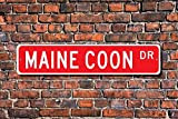 HNNT - Cartello con Scritta Maine Coon Maine Coon, Regalo per Maine Coon, 10 x 40 cm