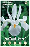 Holland Park bulbi da fiore di molte varietà e colori in sacchetto blister con foto (IRIS BIANCO 10 bulbi)