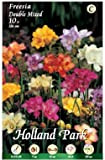 Holland Park bulbi da fiore di molte varietà e colori in sacchetto blister con foto (FRESIE DOPPIE MIX 10 bulbi)