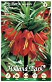 Holland Park bulbi da fiore di molte varietà e colori in sacchetto blister con foto (FRITILLARIA ROSSA 1 bulbo)