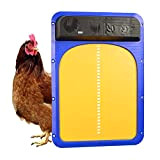 HSLD - Porta di pollaio automatico, sensibile alla luce, timer di apertura ritardata del tè e del mattino