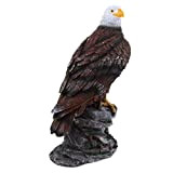 HTYG Figura di Simulazione di Aquila Statua in Resina-Figura di Decorazione di Falco-Statue e sculture da Giardino-Regalo di Ornamento di ...