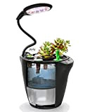 iDOO Giardino Intelligente con LED Lampada da Coltivazione, 2-in-1 Smart Garden con Timer Automatico, Coltivazione idroponica o Terreno, Altezza Regolabile, ...