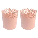 Ikea SAMVERKA 505.178.59 - Set di 2 vasi per piante in filigrana di metallo, rosa scuro chiaro, 12 cm
