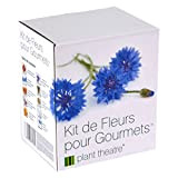 Il Kit Fiori Gourmet di Plant Theatre – 6 varietà di fiori commestibili da coltivare – regalo ottimale