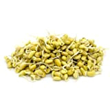 Italian Sprout - Semi per germogli - Soia gialla Caramel - 1 kg