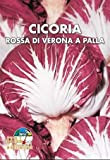 Italsementi Cicoria Rossa di Verona a Palla