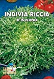 Italsementi Indivia Riccia d' Inverno
