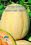 Italsementi Melone Hale's Best Jumbo