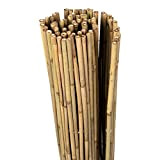 jarolift Premium Arella Canniccio in bambù Recinzione di Canne Resistente Frangivista, 140 x 300 cm, Natura