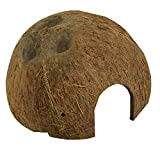 JBL guscio di noce di cocco come grotta per acquari e terrari, Cocos cava